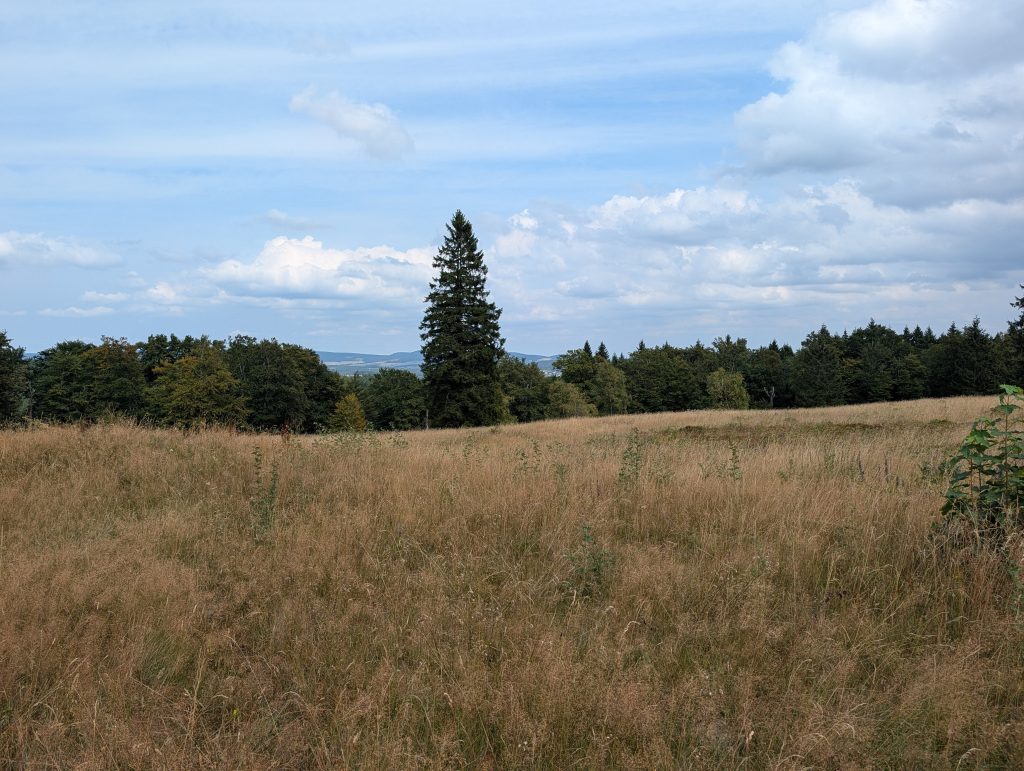 Aussicht vom Kahlen Asten über das Sauerland