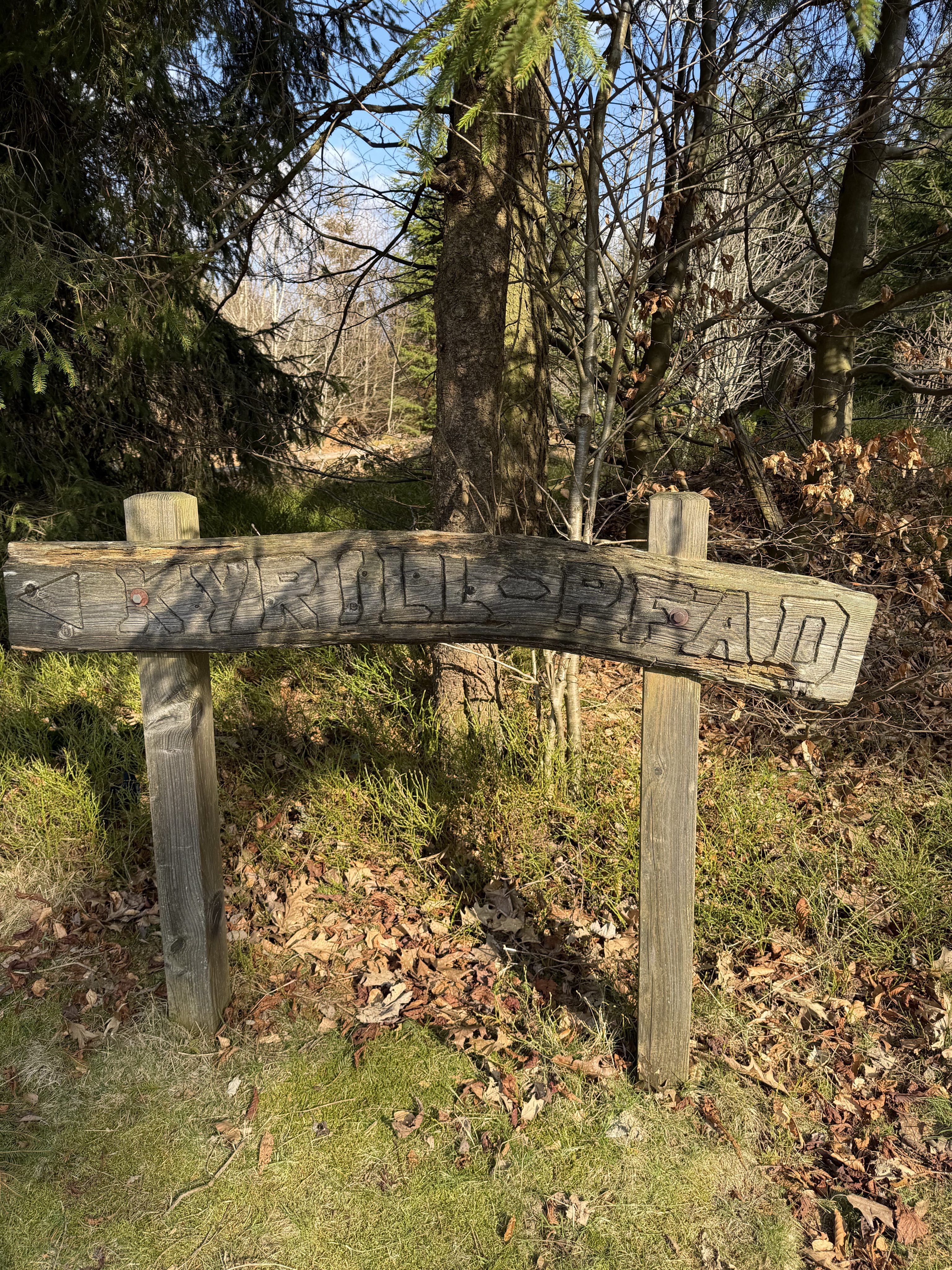 Ausflugstipp: Natur pur auf dem Kyrill-Pfad und Einkehr in Schanze