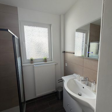 Heller Badezimmerspiegel mit Dusche, Waschbecken und Pflanzen auf der Fensterbank.