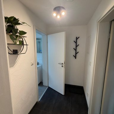 Flur mit geöffneter Tür, Pflanzenständer und minimalistischer Wanddekoration.