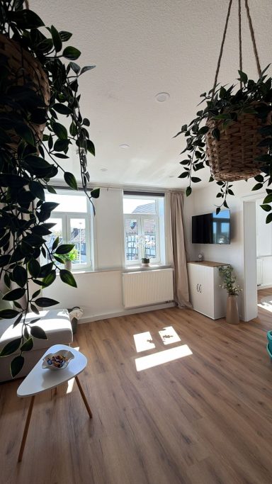 Blick zum Wohnzimmer Heller Wohnraum mit Pflanzen, großer Fensterfront und einem Fernseher an der Wand.