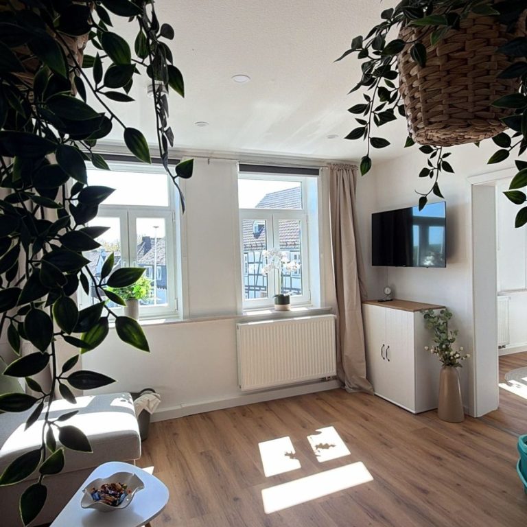 Moderne Küche mit Kühlschrank, Spüle und verschiedenen Gegenständen auf der Arbeitsplatte.